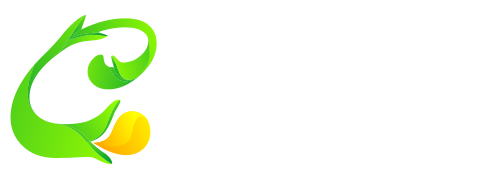 小宅猫